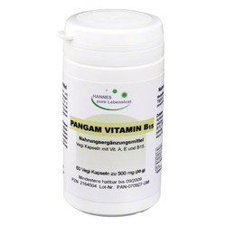 PANGAM Vitamin B15 Kapseln